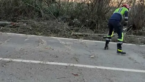 Da&ntilde;os de la borrasca en Zamora_14