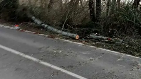 Da&ntilde;os de la borrasca en Zamora_15