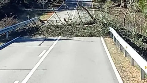 Da&ntilde;os de la borrasca en Zamora_17