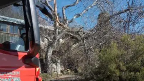 Da&ntilde;os de la borrasca en Zamora_18