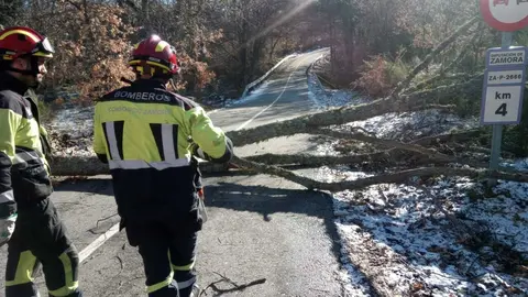 Da&ntilde;os de la borrasca en Zamora_19
