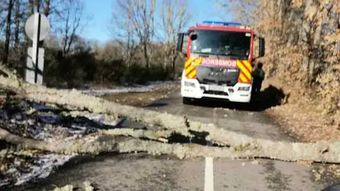 Da&ntilde;os de la borrasca en Zamora_20