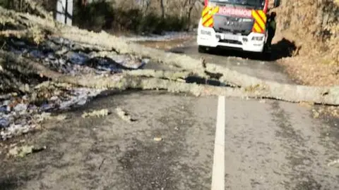 Da&ntilde;os de la borrasca en Zamora_21