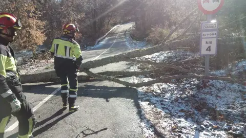 Da&ntilde;os de la borrasca en Zamora_24