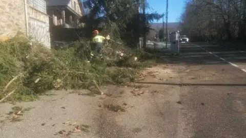 Da&ntilde;os de la borrasca en Zamora_25