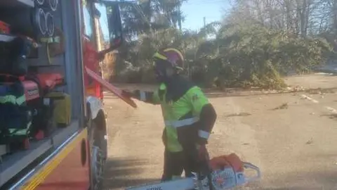 Da&ntilde;os de la borrasca en Zamora_27