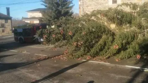 Da&ntilde;os de la borrasca en Zamora_28