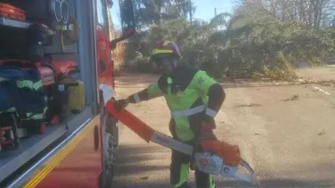 Da&ntilde;os de la borrasca en Zamora_29