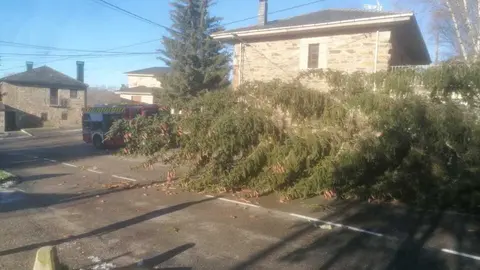 Da&ntilde;os de la borrasca en Zamora_30