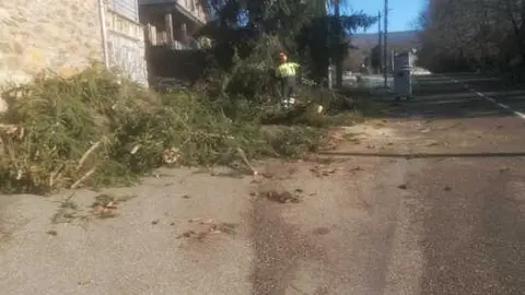 Da&ntilde;os de la borrasca en Zamora_31