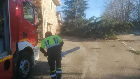 Da&ntilde;os de la borrasca en Zamora_32