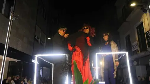 Desfile de Carnaval Zamora _20