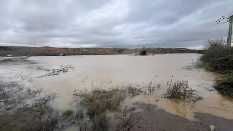 Duero desbordado en Toro _4