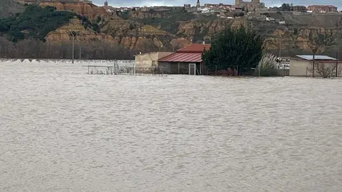 Duero desbordado en Toro _7
