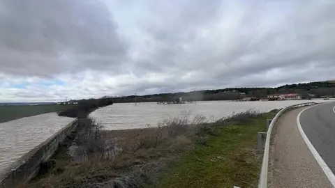 Duero desbordado en Toro _10
