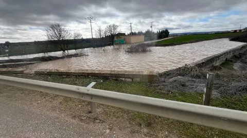 Duero desbordado en Toro _11