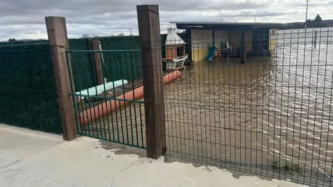 Duero desbordado en Toro _13