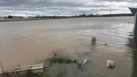 Duero desbordado en Toro _14