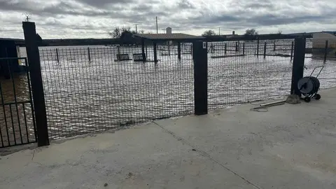 Duero desbordado en Toro _15