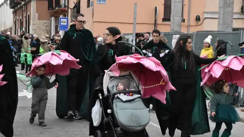 Desfile Infantil carnaval Toro_15