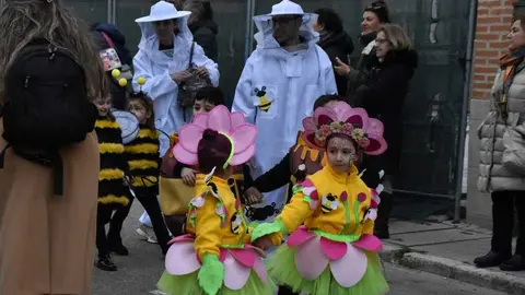 Desfile Infantil carnaval Toro_48