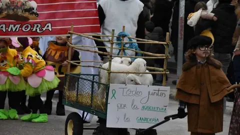 Desfile Infantil carnaval Toro_52