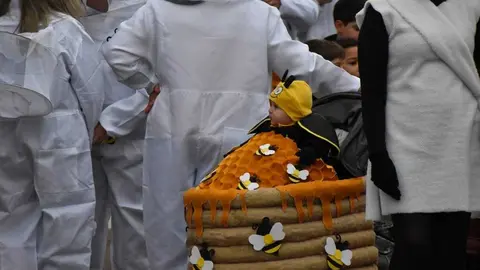 Desfile Infantil carnaval Toro_53