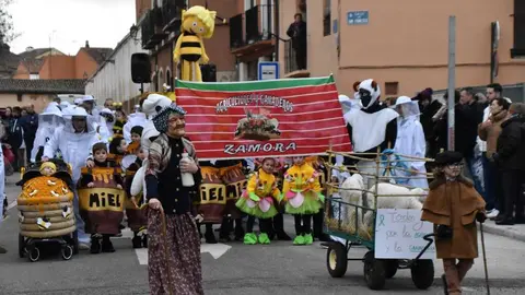 Desfile Infantil carnaval Toro_55