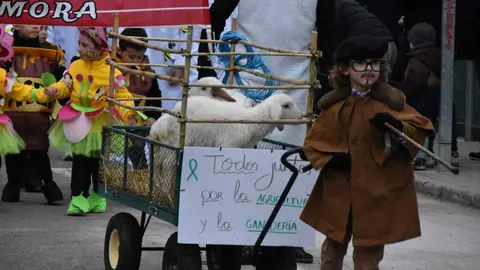 Desfile Infantil carnaval Toro_56