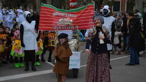 toro carnaval ni&ntilde;os desfile_99