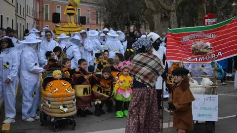 toro carnaval ni&ntilde;os desfile_104