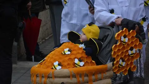 toro carnaval ni&ntilde;os desfile_107