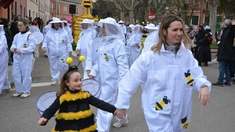 toro carnaval ni&ntilde;os desfile_116