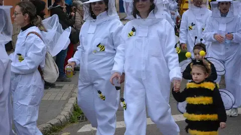 toro carnaval ni&ntilde;os desfile_118