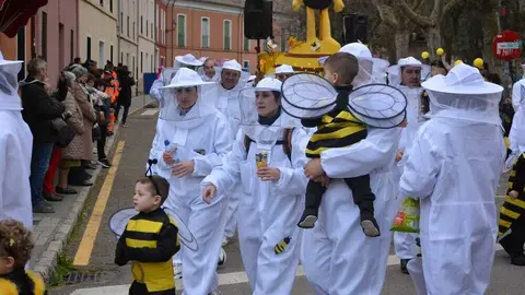toro carnaval ni&ntilde;os desfile_120