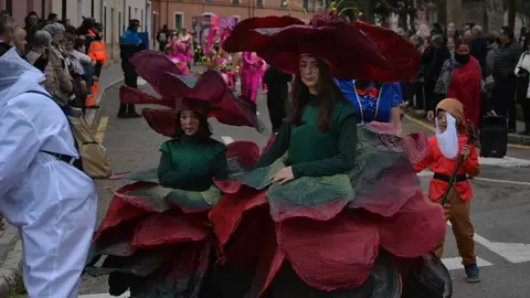 toro carnaval ni&ntilde;os desfile_127