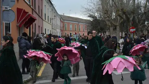 toro carnaval ni&ntilde;os desfile_203
