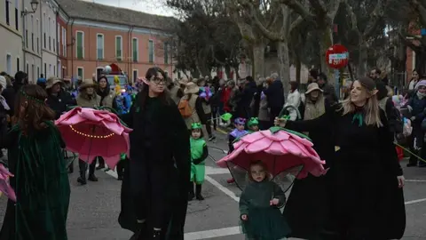 toro carnaval ni&ntilde;os desfile_207