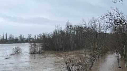 el r&iacute;o Duero a su paso por Zamora en un d&iacute;a nublado _2