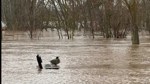 el r&iacute;o Duero a su paso por Zamora en un d&iacute;a nublado _3