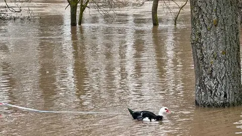 el r&iacute;o Duero a su paso por Zamora en un d&iacute;a nublado _7