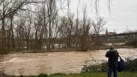 el r&iacute;o Duero a su paso por Zamora en un d&iacute;a nublado _8