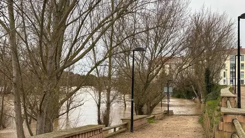 el r&iacute;o Duero a su paso por Zamora en un d&iacute;a nublado _10