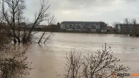 el r&iacute;o Duero a su paso por Zamora en un d&iacute;a nublado _11