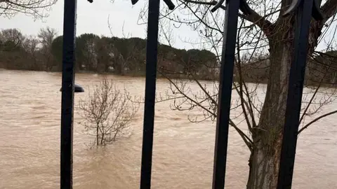 el r&iacute;o Duero a su paso por Zamora en un d&iacute;a nublado _12