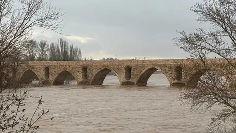 el r&iacute;o Duero a su paso por Zamora en un d&iacute;a nublado _13
