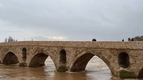 el r&iacute;o Duero a su paso por Zamora en un d&iacute;a nublado _14