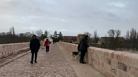 el r&iacute;o Duero a su paso por Zamora en un d&iacute;a nublado _16