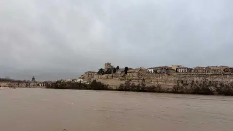 el r&iacute;o Duero a su paso por Zamora en un d&iacute;a nublado _19