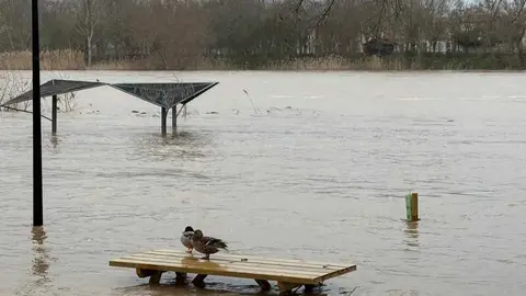 el r&iacute;o Duero a su paso por Zamora en un d&iacute;a nublado _22